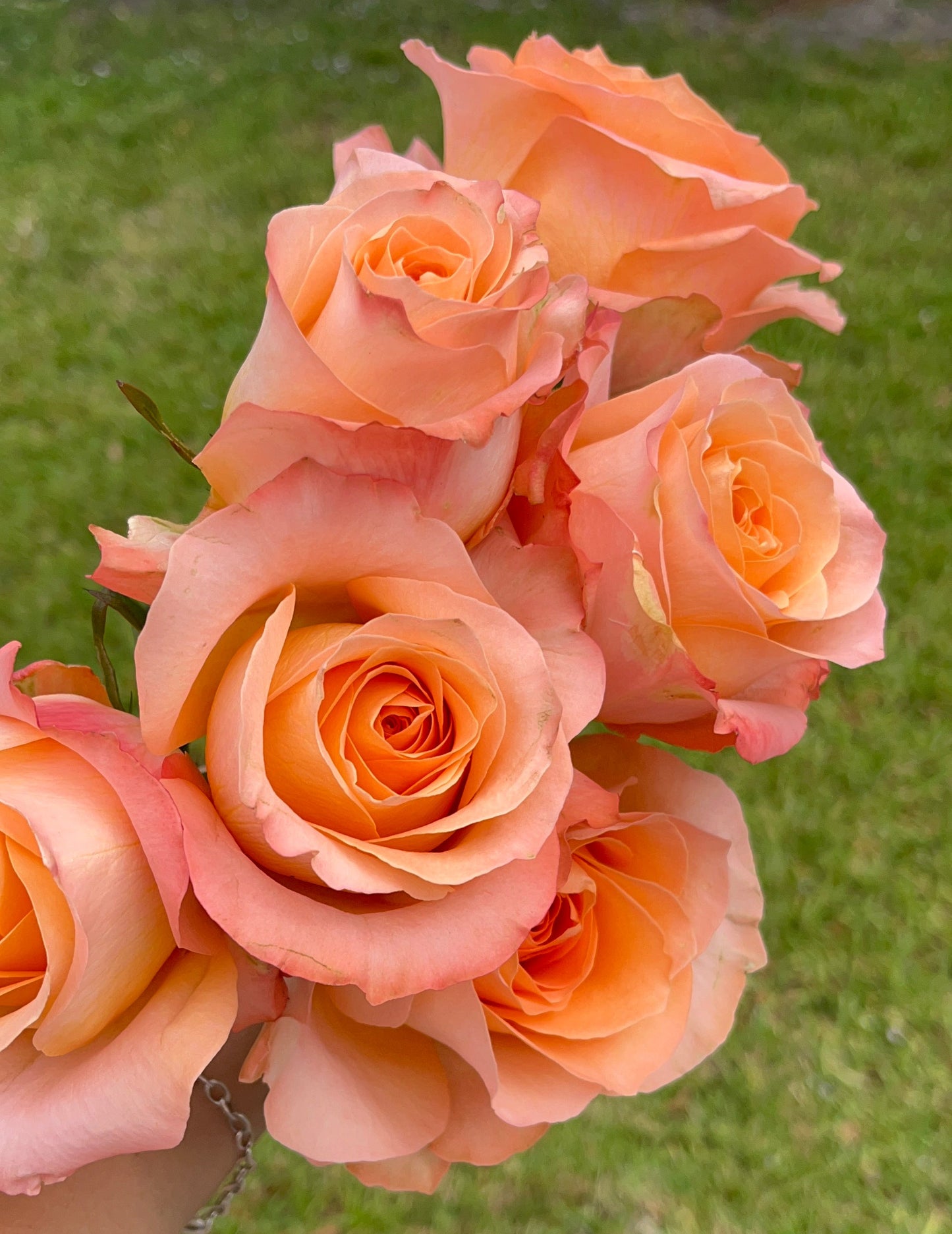 Petals & Prayers